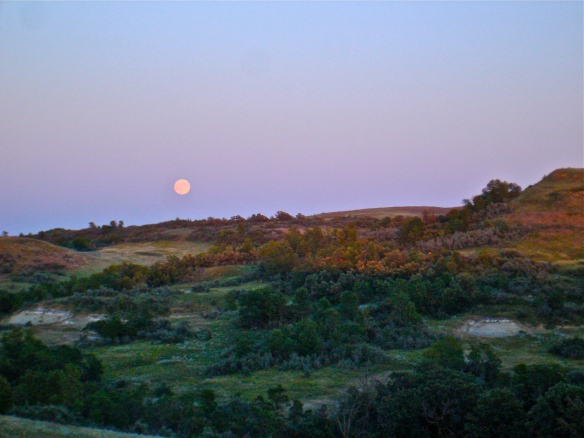 moon above the landscape